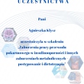Powiększ obraz: certificate 14