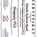 Powiększ obraz: certificate 1