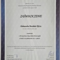 Powiększ obraz: certificate 32