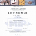 Powiększ obraz: certificate 9