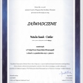 Powiększ obraz: certificate 6