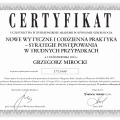 Powiększ obraz: certificate 11