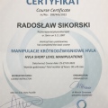 Powiększ obraz: certificate 1