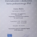 Powiększ obraz: certificate 2