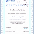 Powiększ obraz: certificate 4