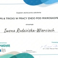 Powiększ obraz: certificate 10