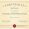 Powiększ obraz: certificate 2