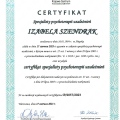 Powiększ obraz: certificate 1