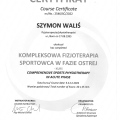 Powiększ obraz: certificate 13