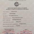 Powiększ obraz: certificate 3