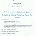 Powiększ obraz: certificate 15
