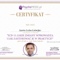 Powiększ obraz: certificate 10