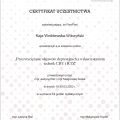 Powiększ obraz: certificate 12