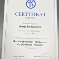 Powiększ obraz: certificate 4