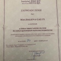 Powiększ obraz: certificate 4