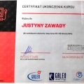 Powiększ obraz: certificate 5
