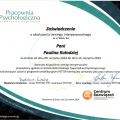 Powiększ obraz: certificate 11
