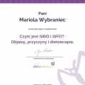 Powiększ obraz: certificate 4