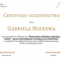 Powiększ obraz: certificate 6