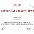 Powiększ obraz: certificate 3