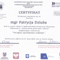 Powiększ obraz: certificate 1