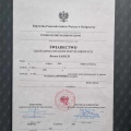 Powiększ obraz: certificate 9