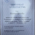 Powiększ obraz: certificate 1