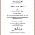 Powiększ obraz: certificate 7