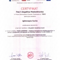 Powiększ obraz: certificate 4