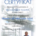 Powiększ obraz: certificate 9