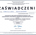 Powiększ obraz: certificate 16