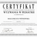 Powiększ obraz: certificate 5