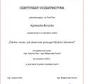 Powiększ obraz: certificate 10