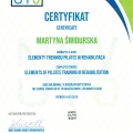 Powiększ obraz: certificate 5