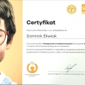 Powiększ obraz: certificate 4