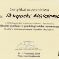 Powiększ obraz: certificate 8