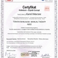 Powiększ obraz: certificate 7