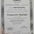 Powiększ obraz: certificate 1