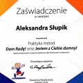Powiększ obraz: certificate 1