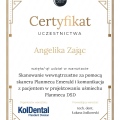 Powiększ obraz: certificate 7