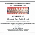 Powiększ obraz: certificate 2