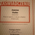 Powiększ obraz: certificate 5