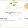 Powiększ obraz: certificate 2