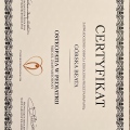 Powiększ obraz: certificate 1