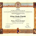 Powiększ obraz: certificate 1