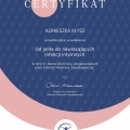 Powiększ obraz: certificate 10