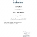 Powiększ obraz: certificate 7