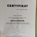 Powiększ obraz: certificate 1