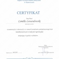 Powiększ obraz: certificate 7