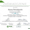Powiększ obraz: certificate 6